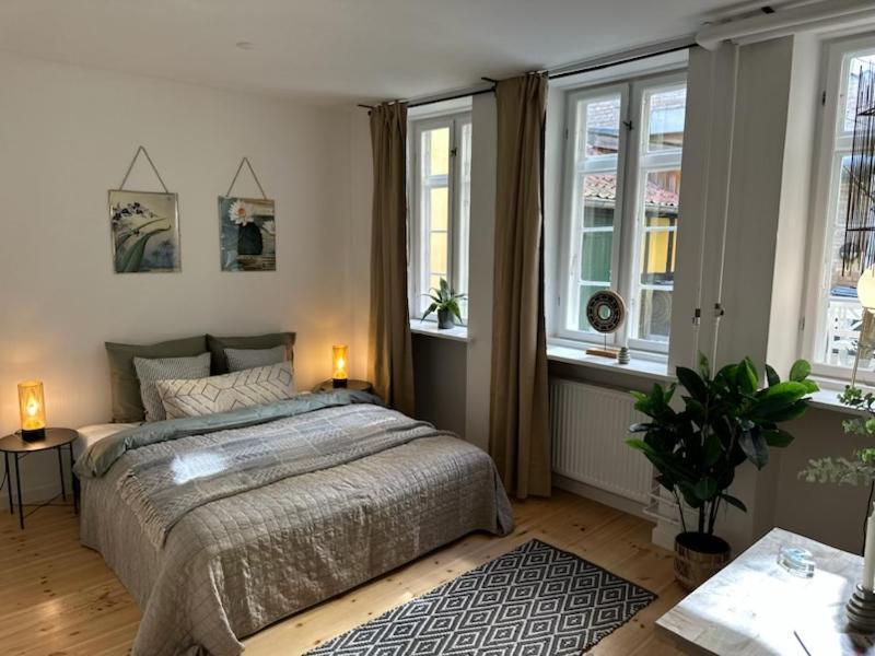 Fantastic Studio Apartment 哥本哈根 外观 照片
