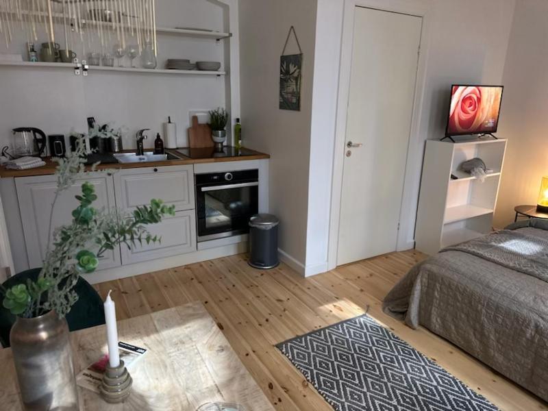 Fantastic Studio Apartment 哥本哈根 外观 照片